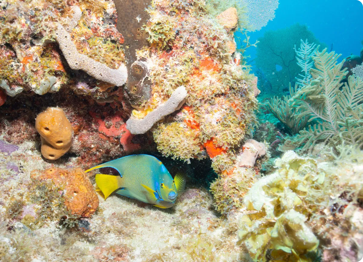 be-part-of-the-movement-hero-2