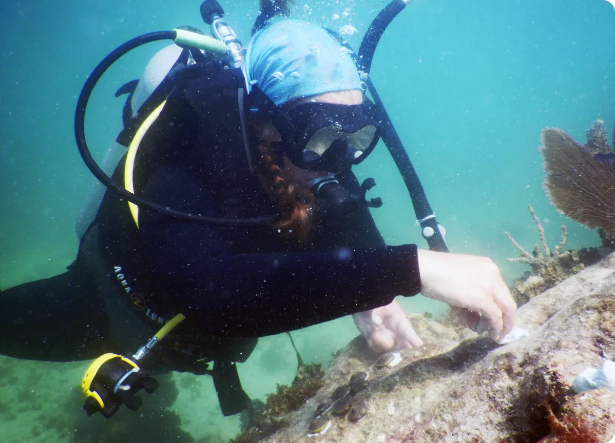 be-part-of-the-movement-hero-4