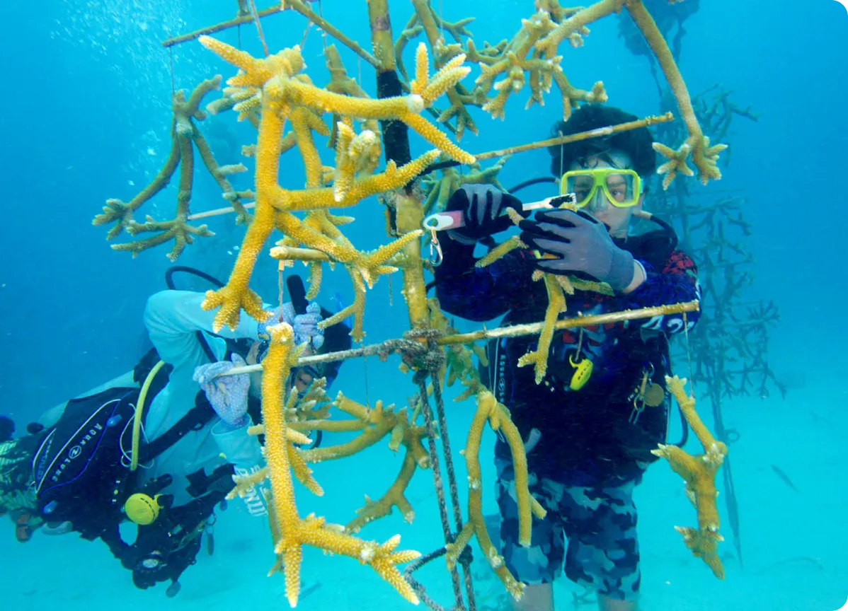 be-part-of-the-movement-hero